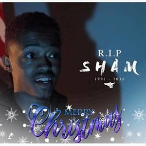 Meet your Posher, Lillie